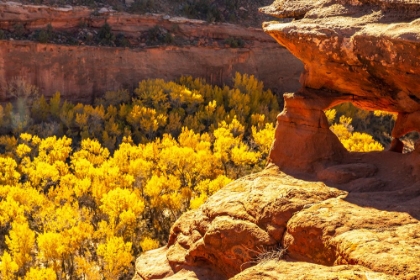 Picture of USA- UTAH- GRAND STAIRCASE ESCALANTE NATIONAL MONUMENT. ESCALANTE RIVER BASIN ROCK FORMATIONS.