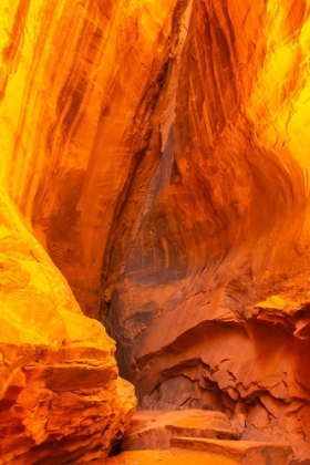 Picture of USA- UTAH- GRAND STAIRCASE ESCALANTE NATIONAL MONUMENT. ESCALANTE RIVER BASIN ROCK FORMATION.