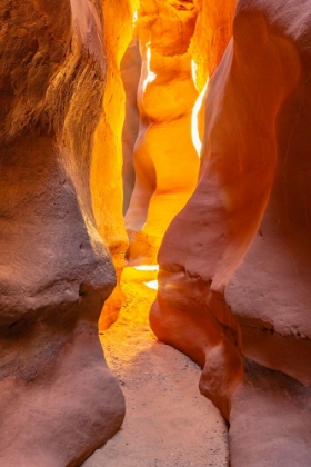 Picture of USA- UTAH- GRAND STAIRCASE ESCALANTE NATIONAL MONUMENT. BIGHORN CANYON TRAIL.