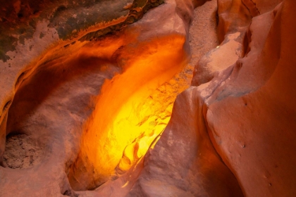 Picture of USA- UTAH- GRAND STAIRCASE ESCALANTE NATIONAL MONUMENT. BIGHORN CANYON TRAIL.