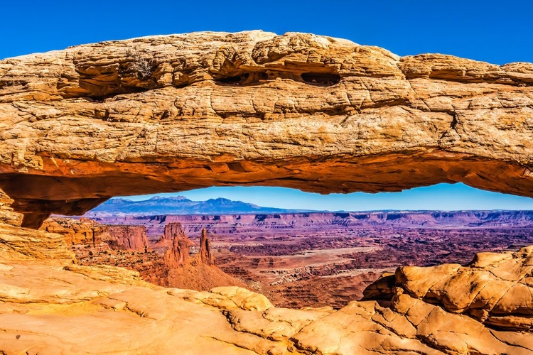 Picture of MESA ARCH- RED ROCK CANYONS- CANYONLANDS NATIONAL PARK- MOAB- UTAH.