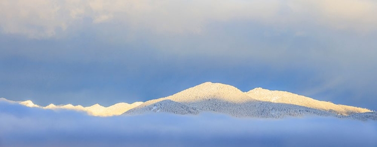 Picture of USA- WASHINGTON STATE. SUNRISE PANORAMIC OF SNOW-COVERED MOUNTAINS IN OLYMPIC NATIONAL FOREST.