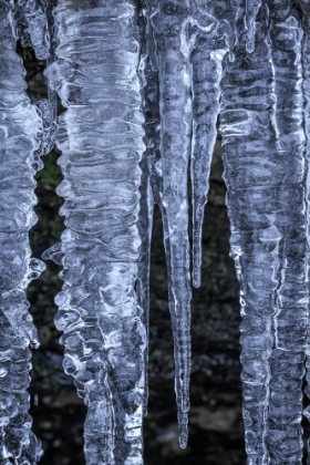 Picture of USA- WASHINGTON STATE- SEABECK. CLOSE-UP OF ICICLES.