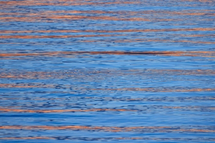 Picture of USA- WASHINGTON STATE- SEABECK. SUNRISE REFLECTED ON HOOD CANAL.