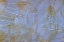 Picture of USA- WASHINGTON STATE- SEABECK. PATTERN OF SKELETONIZED LEAVES.