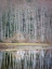 Picture of USA- WASHINGTON STATE- SEABECK. WINTER ALDER TREES REFLECT IN NICKS LAGOON.