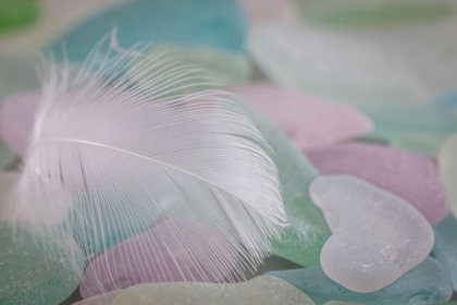 Picture of USA- WASHINGTON STATE- SEABECK. FEATHER AND BEACH GLASS CLOSE-UP.