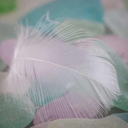 Picture of USA- WASHINGTON STATE- SEABECK. FEATHER AND BEACH GLASS CLOSE-UP.