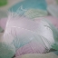 Picture of USA- WASHINGTON STATE- SEABECK. FEATHER AND BEACH GLASS CLOSE-UP.