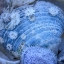 Picture of USA- WASHINGTON STATE- SEABECK. FROSTY CLAM SHELL IN WINTER.