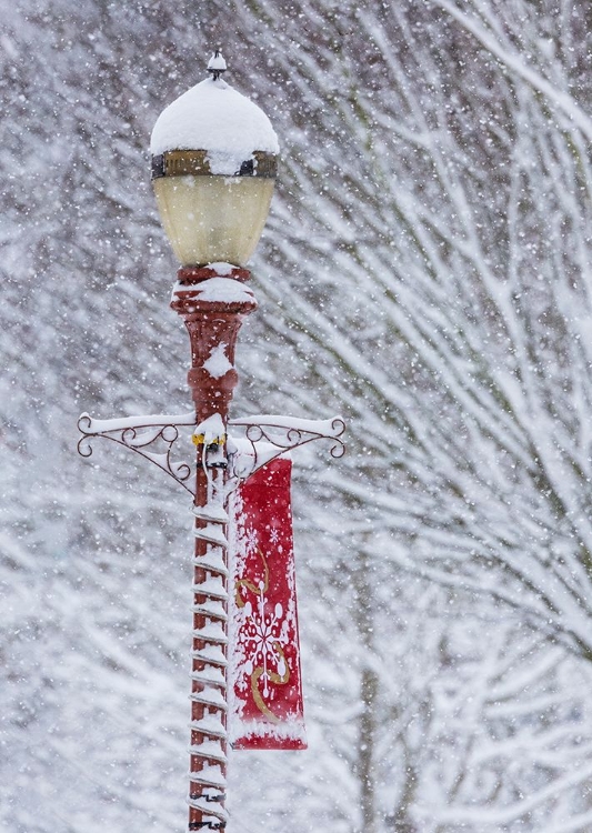 Picture of USA- WASHINGTON STATE- ISSAQUAH WITH FRESH FALLEN SNOW AND RED LAMPPOST WITH CHRISTMAS DECORATIONS