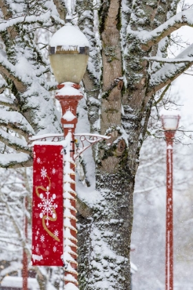 Picture of USA- WASHINGTON STATE- ISSAQUAH WITH FRESH FALLEN SNOW AND RED LAMPPOST WITH CHRISTMAS DECORATIONS