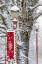 Picture of USA- WASHINGTON STATE- ISSAQUAH WITH FRESH FALLEN SNOW AND RED LAMPPOST WITH CHRISTMAS DECORATIONS