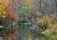 Picture of USA- WASHINGTON STATE- EASTON AND WASHINGTON CASCADES WATER WAY OFF OF YAKIMA RIVER IN FALL COLOR