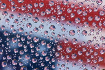 Picture of USA- WASHINGTON STATE- SAMMAMISH. AMERICAN FLAG REFLECTIONS IN DEW DROPS