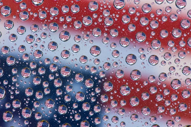 Picture of USA- WASHINGTON STATE- SAMMAMISH. AMERICAN FLAG REFLECTIONS IN DEW DROPS