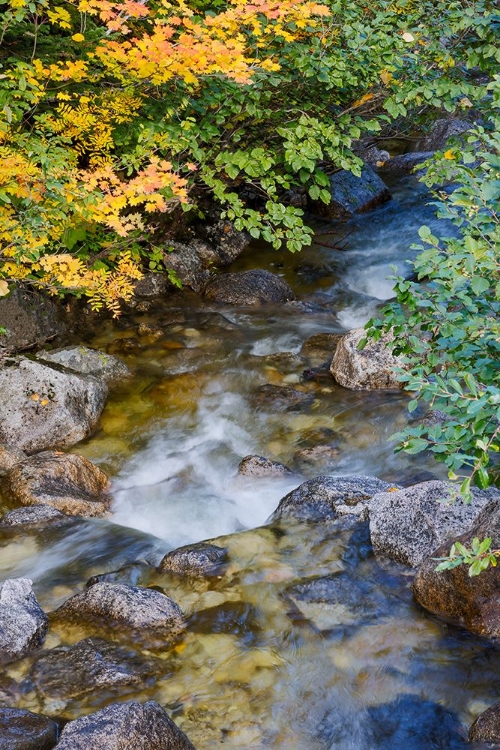 Picture of USA- WASHINGTON STATE. CASCADE MOUNTAINS NEAR STEVENS PASS