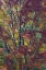 Picture of USA- WASHINGTON STATE. NEAR PRESTON FALL COLORED TREE IN BRONZE TONES