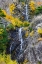 Picture of USA- WASHINGTON STATE- EAST OF NEWHALEM HIGHWAY 20 WATERFALL WITH FALL COLORS