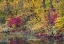 Picture of USA- WASHINGTON STATE- SMALL POND NEAR EASTON SURROUNDED BY FALL COLORED TREES