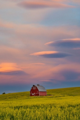 Picture of USA- WASHINGTON STATE- PALOUSE. SPRINGTIME WITH RED BARN