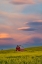 Picture of USA- WASHINGTON STATE- PALOUSE. SPRINGTIME WITH RED BARN