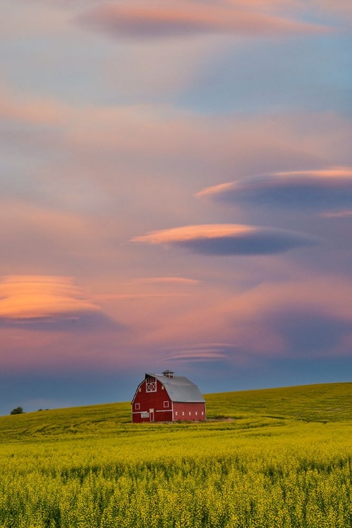 Picture of USA- WASHINGTON STATE- PALOUSE. SPRINGTIME WITH RED BARN