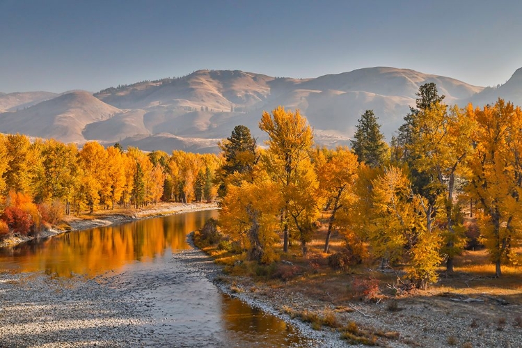 Picture of USA- WASHINGTON STATE- METHOW VALLEY AND RIVER EDGED IN FALL COLORED TREES.