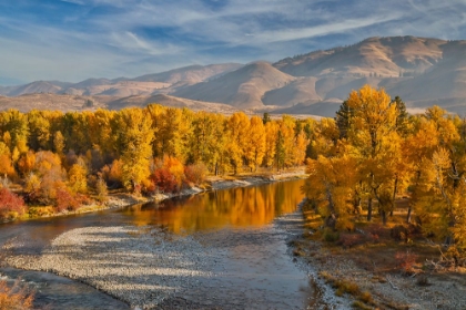 Picture of USA- WASHINGTON STATE- METHOW VALLEY AND RIVER EDGED IN FALL COLORED TREES.