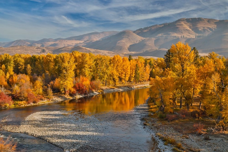 Picture of USA- WASHINGTON STATE- METHOW VALLEY AND RIVER EDGED IN FALL COLORED TREES.