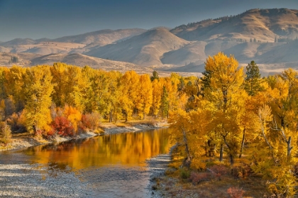 Picture of USA- WASHINGTON STATE- METHOW VALLEY AND RIVER EDGED IN FALL COLORED TREES.