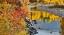 Picture of USA- WASHINGTON STATE- METHOW VALLEY AND RIVER EDGED IN FALL COLORED TREES.