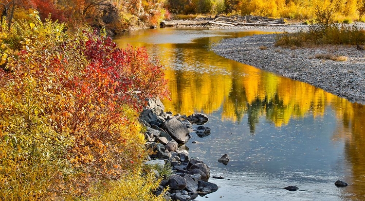 Picture of USA- WASHINGTON STATE- METHOW VALLEY AND RIVER EDGED IN FALL COLORED TREES.