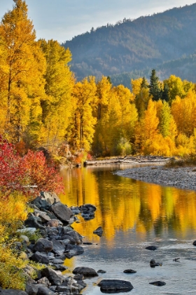 Picture of USA- WASHINGTON STATE- METHOW VALLEY AND RIVER EDGED IN FALL COLORED TREES.