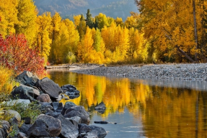 Picture of USA- WASHINGTON STATE- METHOW VALLEY AND RIVER EDGED IN FALL COLORED TREES.