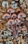 Picture of USA- WASHINGTON STATE- SAMMAMISH. MUSHROOMS GROWING ON FALL ALDER TREE LOG