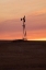 Picture of USA- WASHINGTON STATE- WHITMAN COUNTY- PALOUSE