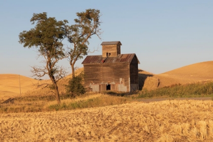 Picture of USA- WASHINGTON STATE- WHITMAN COUNTY- PALOUSE. COLFAX. OLD GRAIN SILO AND BARN ALONG FILAN ROAD.