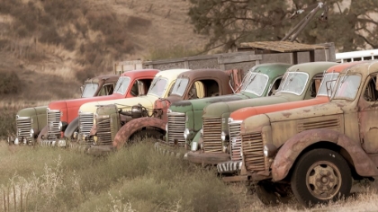 Picture of USA- WASHINGTON STATE- WHITMAN COUNTY- PALOUSE. COLFAX. OLD TRUCKS.