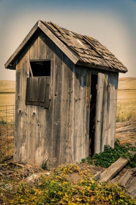 Picture of USA- WASHINGTON STATE- WHITMAN COUNTY- PALOUSE. BAUER ROAD. OUTHOUSE.