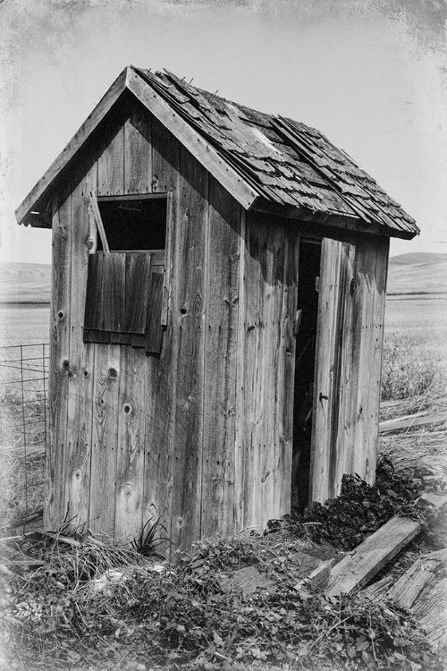 Picture of USA- WASHINGTON STATE- WHITMAN COUNTY- PALOUSE. BAUER ROAD. OUTHOUSE.