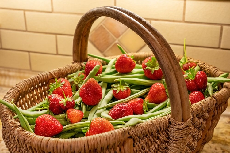 Picture of ISSAQUAH- WASHINGTON STATE- USA. WOVEN BASKET OF FRESHLY HARVESTED GREEN BEANS AND STRAWBERRIES