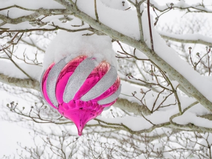 Picture of WASHINGTON STATE- CHRISTMAS ORNAMENT AND SNOW