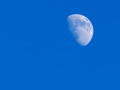 Picture of WASHINGTON STATE- FIRST QUARTER MOON