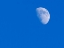 Picture of WASHINGTON STATE- FIRST QUARTER MOON