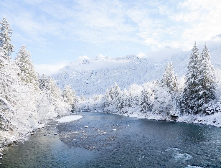 Picture of WASHINGTON STATE- CENTRAL CASCADES. MOUNT BAKER SNOQUALMIE NATIONAL FOREST