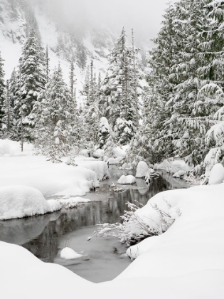 Picture of WASHINGTON STATE- CENTRAL CASCADES. GRANITE CREEK WINTER SCENE