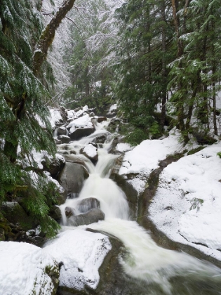 Picture of WASHINGTON STATE- CENTRAL CASCADES. MARTIN CREEK