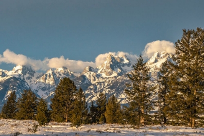 Picture of USA- WYOMING- GRAND TETON NATIONAL PARK. GRAND TETONS IN WINTER.