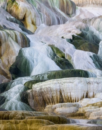 Picture of USA- WYOMING- YELLOWSTONE NATIONAL PARK. MAMMOTH HOT SPRINGS
